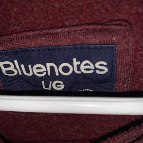 MENS NORTH WESTERN  GRAPHIC HOODIE - Picture 4 of 4